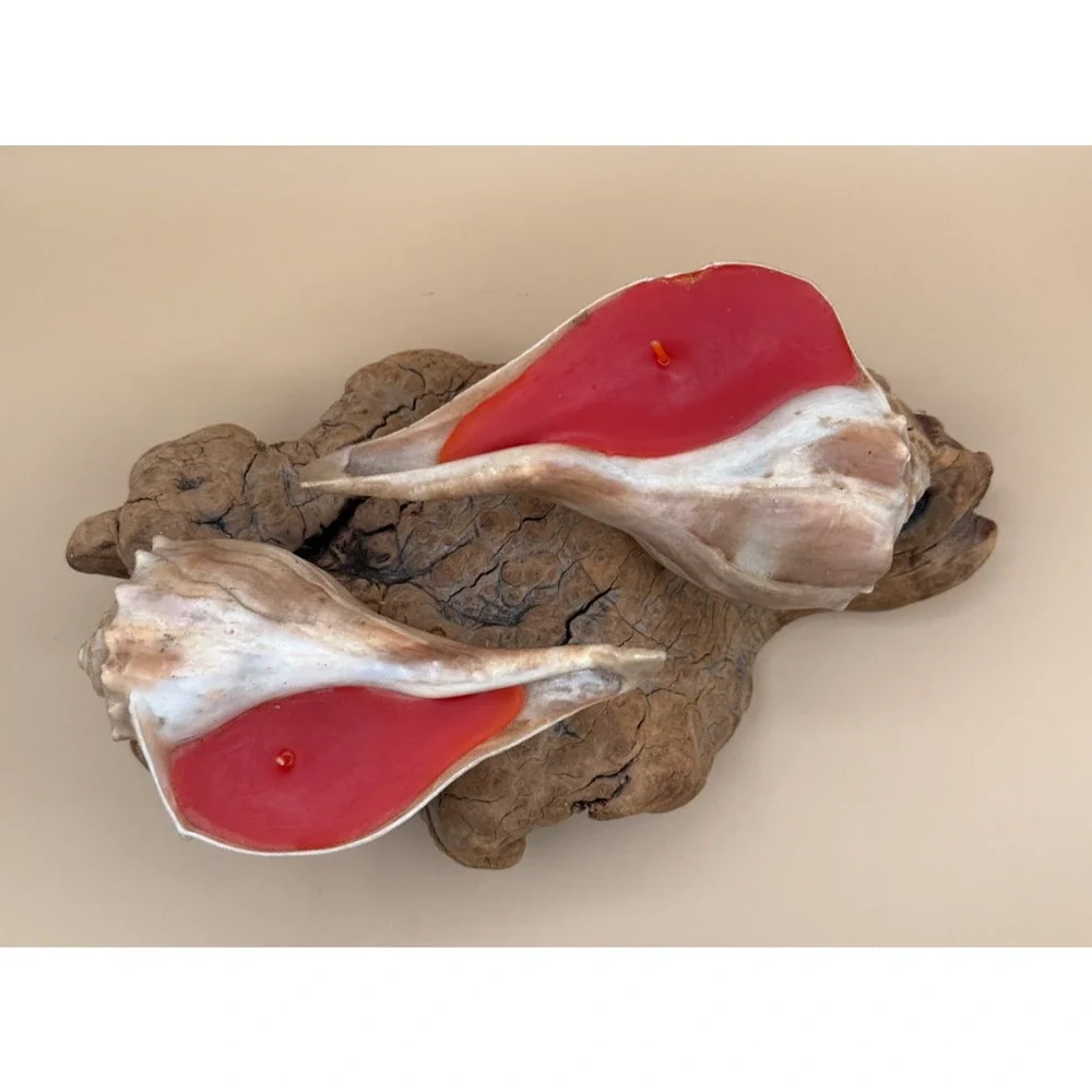 🐚 Vintage Seashell Candle Holder Driftwood Base Miami Florida Beach Decor